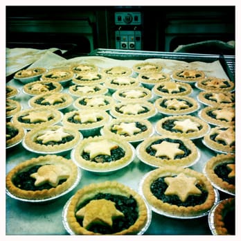 COBS Bread - Kingsland - New mince tarts at willow park! - Bakeries Near Me - Calgary, Alberta COBS Bread - Kingsland - New mince tarts at willow park! - Bakeries Near Me - Calgary, Alberta