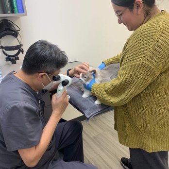 Veterinary Eye Clinic - Getting checked up - Veterinarians Near Me - Alhambra, California Veterinary Eye Clinic - Getting checked up - Veterinarians Near Me - Alhambra, California