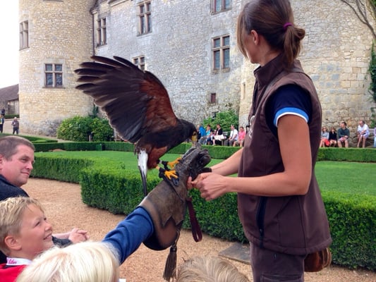 Château des Milandes by null