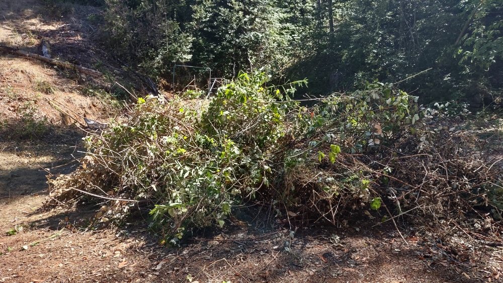 Slide of Russian River Handyman