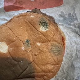 Mold Mold