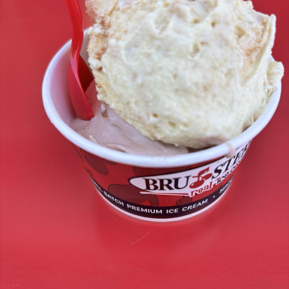 Bruster's Real Ice Cream - Looks like kiddy size portions today 2/6/26 and the bottom melted too fast but it was still good. Banana pudding on top! - Ice Cream & Frozen Yogurt Near Me - La Mesa, California