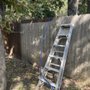 Full lawn service care