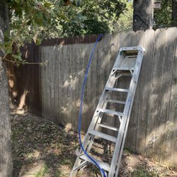 Full lawn service care