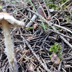 Taggart Lake Trail