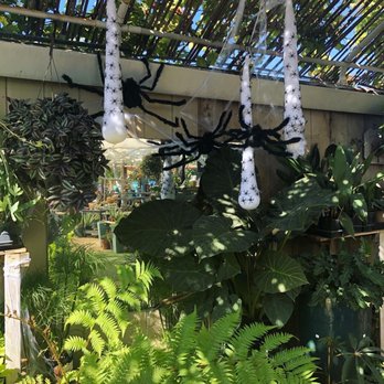 The Secret Garden - Love how even decorated for Halloween - Nurseries & Gardening Near Me - Elk Grove, California The Secret Garden - Love how even decorated for Halloween - Nurseries & Gardening Near Me - Elk Grove, California