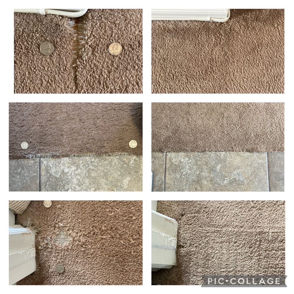CARPET REPAIR & CLEANING Updated September 2024 101 Photos & 184 Reviews Torrance