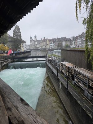 Spreuerbrücke by null
