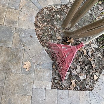 Bayside Pavers - Bay Area Paver Installation - Custom shaped around tree. - Masonry/Concrete Near Me - Concord, California Bayside Pavers - Bay Area Paver Installation - Custom shaped around tree. - Masonry/Concrete Near Me - Concord, California