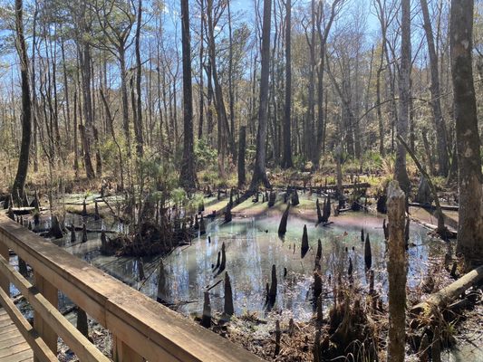 Caw Caw Interpretive Center by null