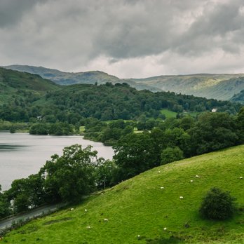 Mountain Goat - Tours Near Me - Windermere, CMA