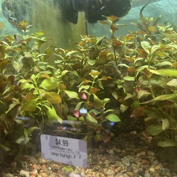 Aqua Imports - Aquarium Services Near Me - Boulder, Colorado