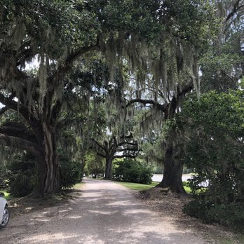 Jungle Gardens - Botanical Gardens Near Me - Avery Island, Louisiana