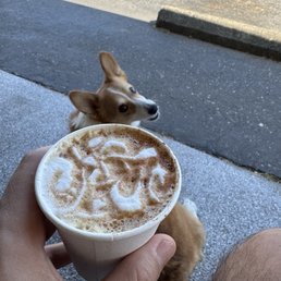 Cappuccino and a curious corgi