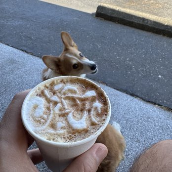 Outer Heaven Espresso - Cappuccino and a curious corgi - Coffee Roasteries Near Me - Nevada City, California Outer Heaven Espresso - Cappuccino and a curious corgi - Coffee Roasteries Near Me - Nevada City, California