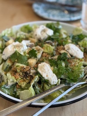 little shucker by null little shucker by null