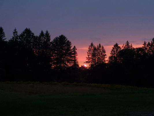 Cherry Springs State Park by null
