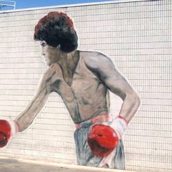 Johnny Tocco's Ringside Boxing Gym