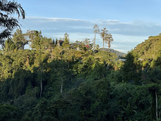 Strawberry Park Resort by null