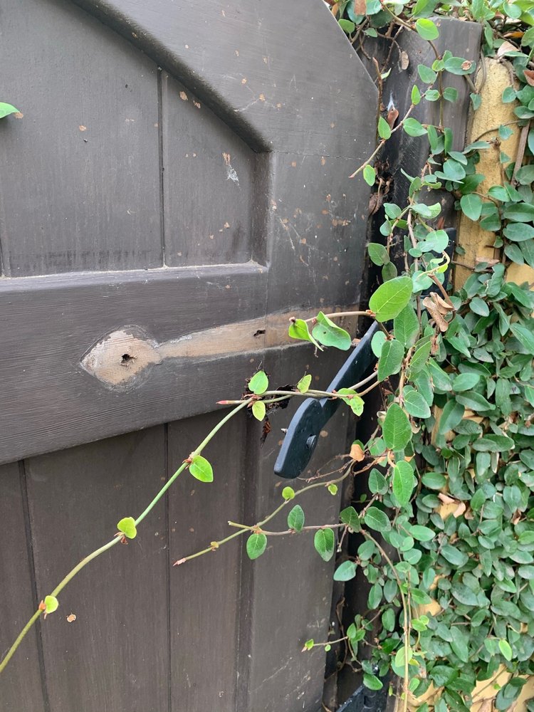 S & J WINDOW WASHING - Updated July 2024 - 30 Photos & 97 Reviews