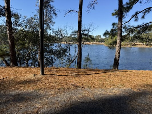 L Scott Stell Park by null