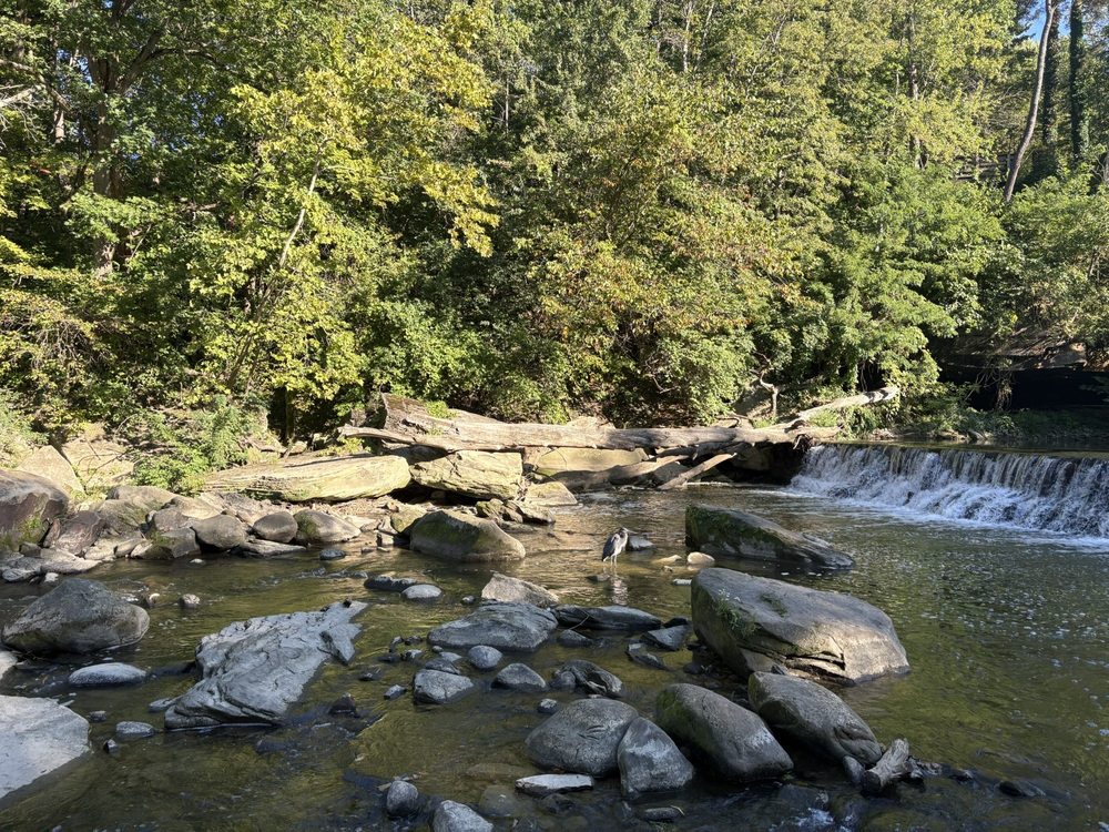 David Fortier River Park