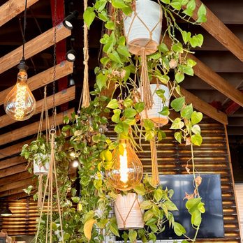 Fratelli Cafe - Cute decor - Coffee & Tea Near Me - Los Angeles, California Fratelli Cafe - Cute decor - Coffee & Tea Near Me - Los Angeles, California