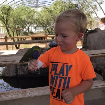Rooster Cogburn Ostrich Ranch - Petting Zoos Near Me - Picacho, Arizona Rooster Cogburn Ostrich Ranch - Petting Zoos Near Me - Picacho, Arizona