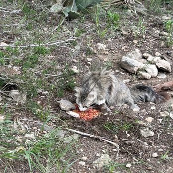 DOS RIOS RV PARK - Updated January 2026 - 135 Photos & 41 Reviews ...