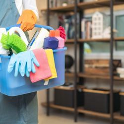 TDP Cleaning Services