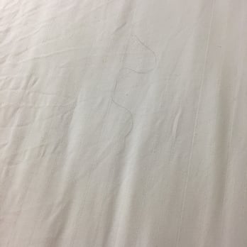Quality Inn - Not clean sheets - Hotels Near Me - Lebanon, Tennessee