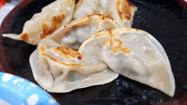 Dumpling Master | Bubble Tea & Noodles by null