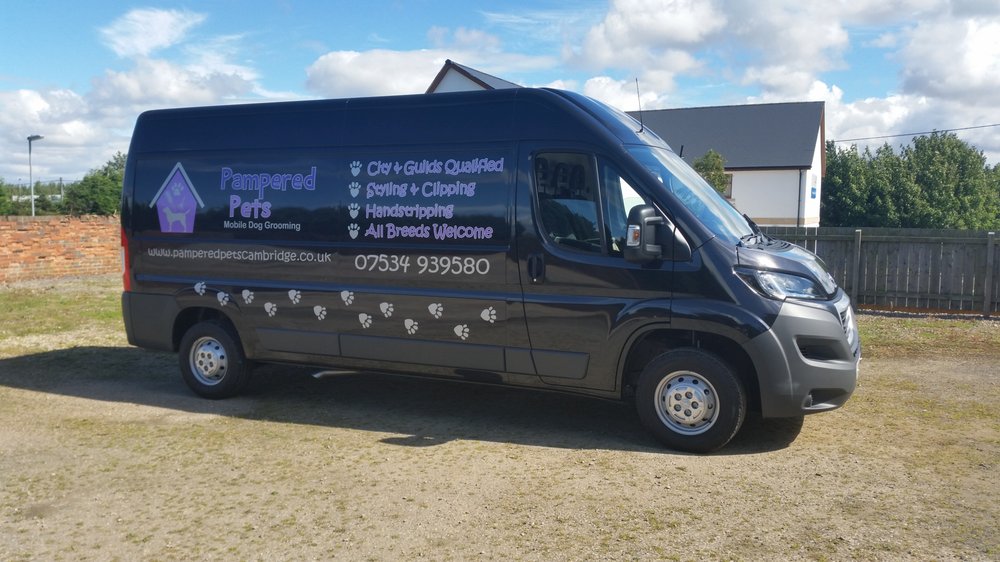 PAMPERED PETS MOBILE DOG GROOMING Cambridge, United Kingdom Pet Groomers Phone Number Yelp
