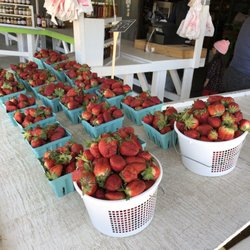 Bellamy Farms