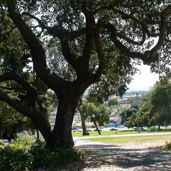 San Antonio Park - Oak tree and grass lawn at at San Antonio Park, Oakland, California - Parks Near Me - Oakland, California San Antonio Park - Oak tree and grass lawn at at San Antonio Park, Oakland, California - Parks Near Me - Oakland, California