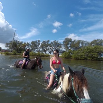 CPonies - Horseback Riding Near Me - Bradenton, Florida CPonies - Horseback Riding Near Me - Bradenton, Florida