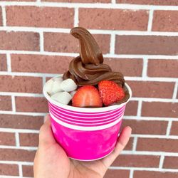 Blue Cow Frozen Yogurt - Chocolate fudge sorbet