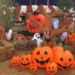 Pumpkin City's Pumpkin Farm 