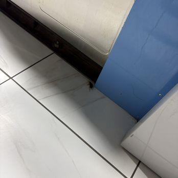 Prime Washateria - Roach number 1 - Laundromat Near Me - Alvin, Texas Prime Washateria - Roach number 1 - Laundromat Near Me - Alvin, Texas