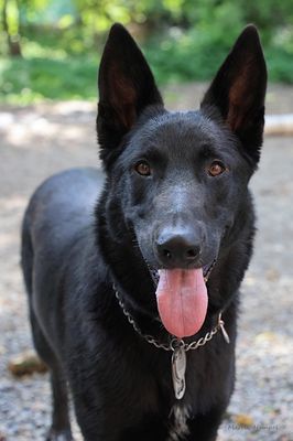 Inn On Columbia by null