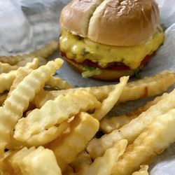 The FABULOUS cheeseburger and fries.