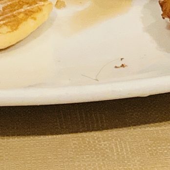 Silver Diner - The hair found on the back. There was actually more cooked into the bacon - New American Near Me - Waldorf, Maryland Silver Diner - The hair found on the back. There was actually more cooked into the bacon - New American Near Me - Waldorf, Maryland