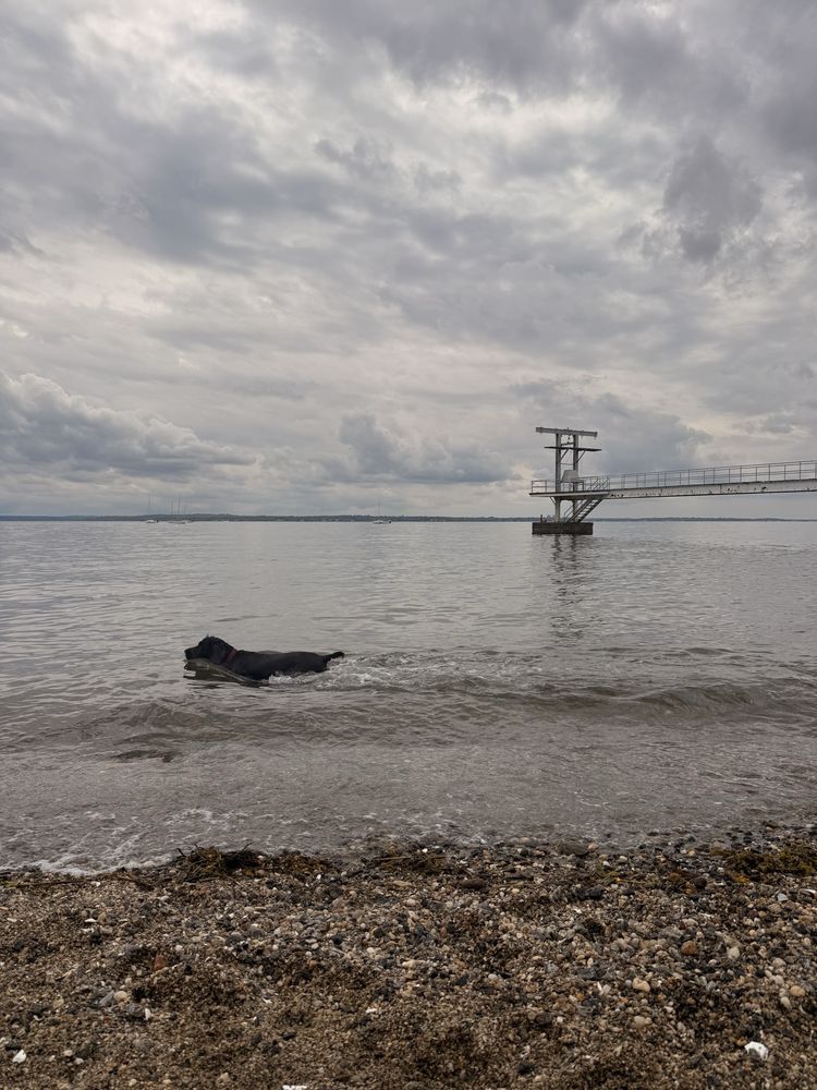 Manor Park & Beach Image