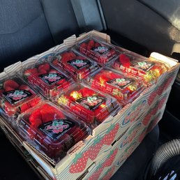a box of strawberries in the back seat of a car a box of strawberries in the back seat of a car