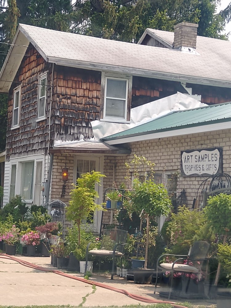 ART SAMPLES TREES AND SHRUBS Updated September 2024 4989 NY474