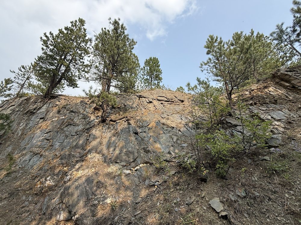 Mickelson Trail Adventures Logo