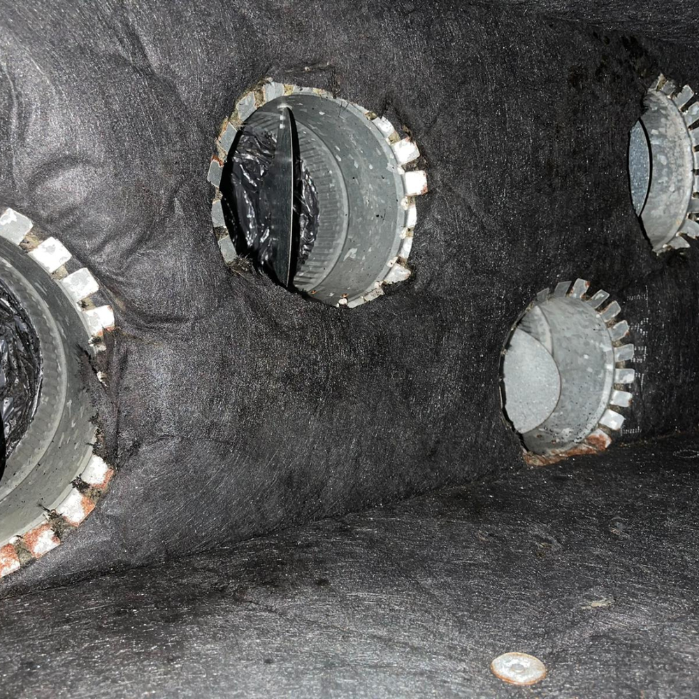 carolina duct & crawl - mold inspector in China Grove, NC