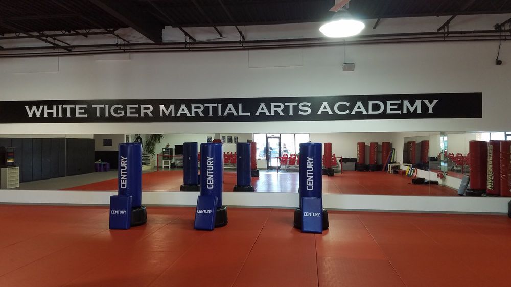 WHITE TIGER MARTIAL ARTS ACADEMY 659 Abbington Dr, East Windsor, New