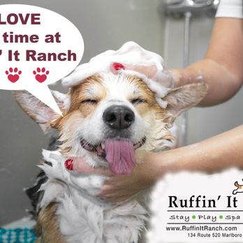 Ruffin' It Ranch - Love my baths at Ruffin It Ranch! - Pet Training Near Me - Morganville, New Jersey