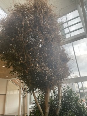 Moorestown Mall by null